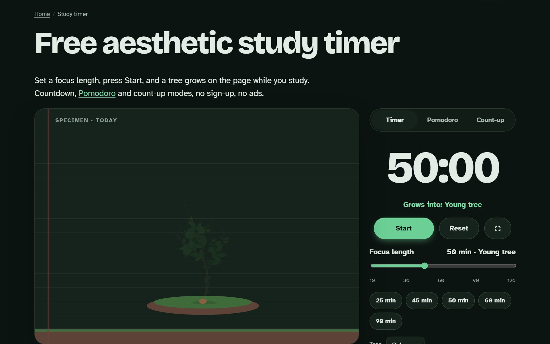 Pagewood study timer running in the browser